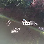 Pegasus Bed and Breakfast