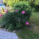 Bed and Breakfast Pegasus Helsinge